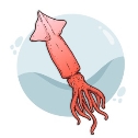 C:\Users\КВ\Desktop\моніторинг\мал\hand-drawn-squid-illustration_23-2149560580.jpg